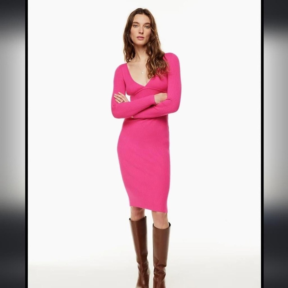 Aritzia Wilfred Gabrielle Long Sleeve Midi Dress - Large